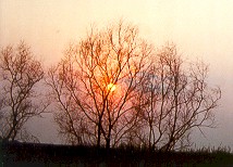 Dusk
