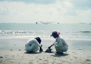 Nice hopes [1994]